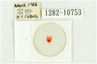 紅暈散紋夜蛾藏品圖，第3張