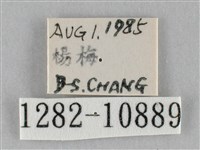 登錄號:001282-10889藏品圖，第3張