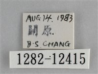 雙峰霜尺蛾藏品圖，第3張