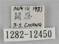 雙峰霜尺蛾藏品圖，第3張