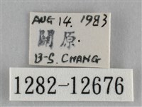 雙峰霜尺蛾藏品圖，第3張