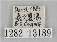 登錄號:001282-13189藏品圖，第3張