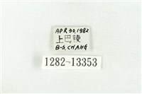 樹形尺蛾藏品圖，第3張