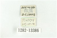 樹形尺蛾藏品圖，第3張