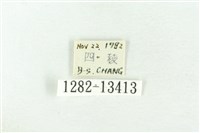 樹形尺蛾藏品圖，第3張