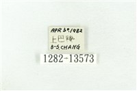 樹形尺蛾藏品圖，第3張