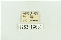 紅暈散紋夜蛾藏品圖，第3張