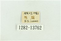 紅暈散紋夜蛾藏品圖，第3張