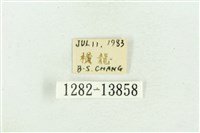 紅暈散紋夜蛾藏品圖，第3張