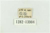 紅暈散紋夜蛾藏品圖，第3張