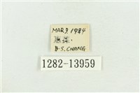 紅暈散紋夜蛾藏品圖，第3張