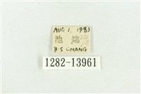 紅暈散紋夜蛾藏品圖，第3張