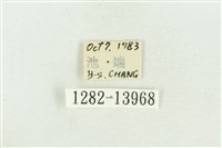 紅暈散紋夜蛾藏品圖，第3張