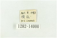 紅暈散紋夜蛾藏品圖，第3張