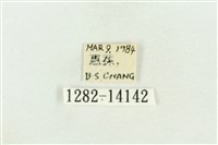 弧角散紋夜蛾藏品圖，第3張