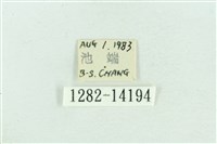 粉紅帶散紋夜蛾藏品圖，第3張