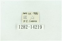 粉紅帶散紋夜蛾藏品圖，第3張