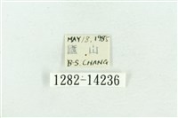 粉紅帶散紋夜蛾藏品圖，第3張