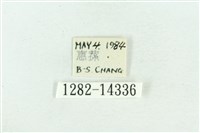 粉紅帶散紋夜蛾藏品圖，第3張