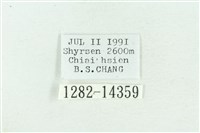 粉紅帶散紋夜蛾藏品圖，第3張