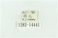 粉紅帶散紋夜蛾藏品圖，第3張