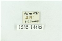 粉紅帶散紋夜蛾藏品圖，第3張