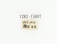 橙斑花金龜藏品圖，第2張