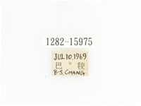 金艷騷金龜藏品圖，第2張