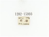 藍艷白點花金龜藏品圖，第2張