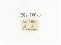 金艷騷金龜藏品圖，第2張