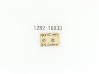 臺灣角金龜藏品圖，第2張