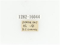 金艷騷金龜藏品圖，第2張