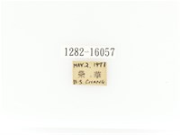 臺灣角金龜藏品圖，第2張