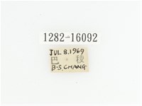 臺灣瘦花金龜藏品圖，第2張