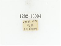 藍艷白點花金龜藏品圖，第2張