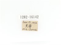 金艷騷金龜藏品圖，第2張