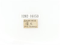 臺灣角金龜藏品圖，第2張