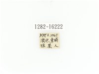臺灣角金龜藏品圖，第2張