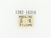 巴蘭陷紋金龜藏品圖，第2張