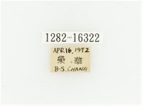 黑斑陷紋金龜藏品圖，第2張