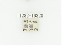 黑斑陷紋金龜藏品圖，第2張