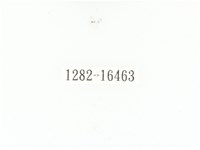 斑翅四齒金龜藏品圖，第2張