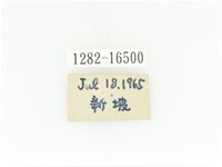 臺灣白條金龜藏品圖，第2張