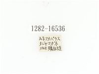 斑翅四齒金龜藏品圖，第2張