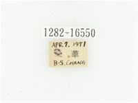 黑斑陷紋金龜藏品圖，第2張