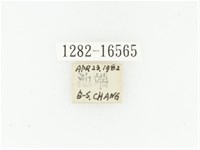 黑斑陷紋金龜藏品圖，第2張