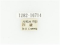 黑斑陷紋金龜藏品圖，第2張