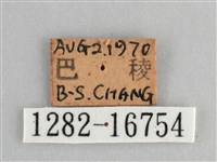 黯眼蛺蝶藏品圖，第3張