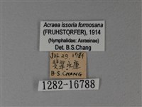 苧麻細蝶藏品圖，第3張