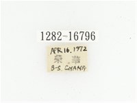 偽橫斑黑花金龜藏品圖，第2張
